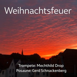Weihnachtsoratorium BWV 248 in D-Dur Arie - Großer Herr du starker König