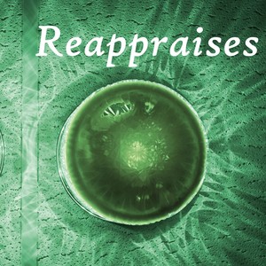 Reappraises