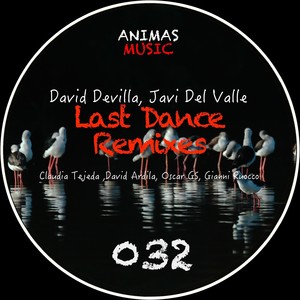 Last Dance (David Ardila Remix)