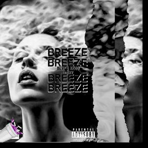 BREEZE (Explicit)
