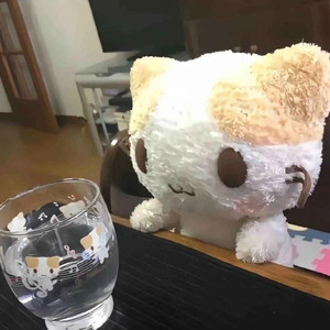 如果的事 (纯享版)