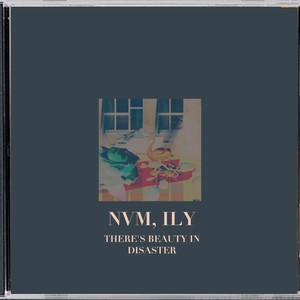 There's Beauty in Disaster