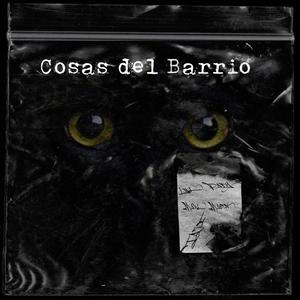 Cosas del barrio (feat. Maulmasta & Taji) (Explicit)