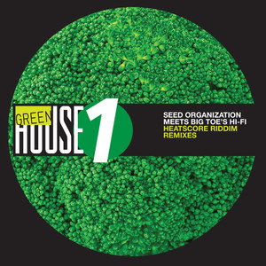 Sound a Goody Goody (El Richee Remix)