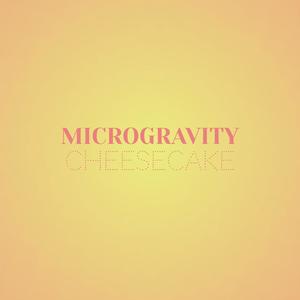 Microgravity Cheesecake