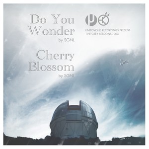 Do You Wonder / Cherry Blossom