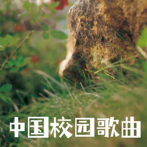 童年的校园