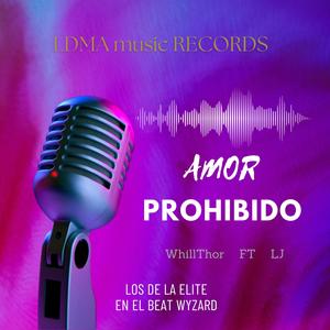 Amor Prohibido (feat. LJ) (Special Version LDMA)