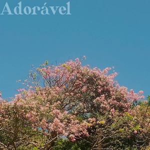 Adorável (Explicit)