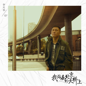 我站在北京的天桥上