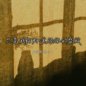 只是我恰好途径你的盛放