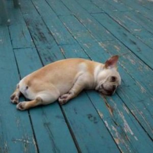 Tired (Explicit)