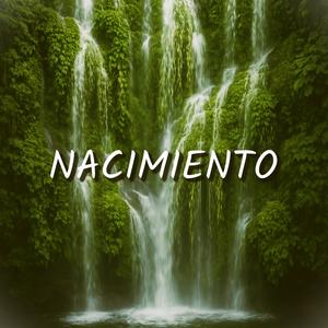 Nacimiento