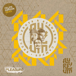 Pleasure (Felipe Gordon Remix)