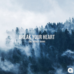 Break Your Heart