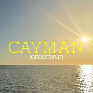 CAYMAN (CROCODILE)