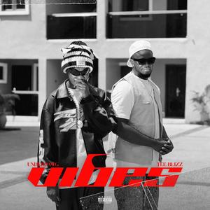 Vibes (feat. UnderDawG)
