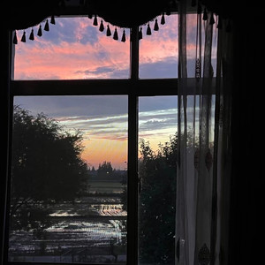 溯 (Reverse) feat. 马吟吟