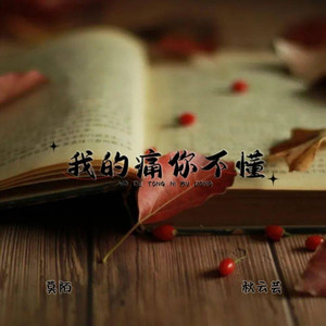 我的痛你不懂 