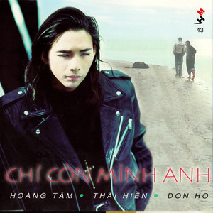 Chỉ còn mình anh (Mưa Hồng CD 043)