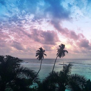 AnimeVibe-Fire (AnimeVibe Remix)