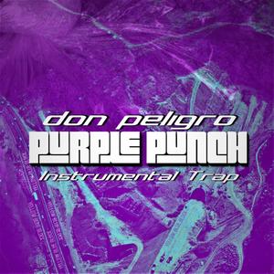 Purple Punch Instrumental Trap