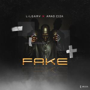 Fake (feat. Arad ciza) (Explicit)