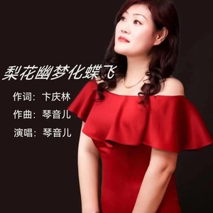 梨花幽梦化蝶飞