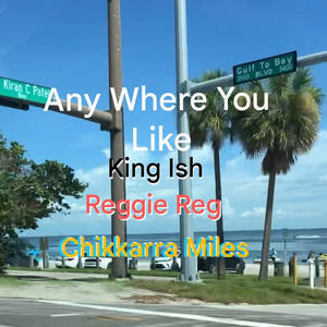 Any Where You Like (feat. Reggie Reg & Brian Banks) (Chikkarra Miles Remix|Explicit)