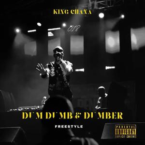 Dum Dumb and Dumber (Freestyle) (Explicit)