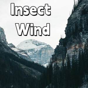 Insect Wind