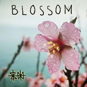 Blossom (Demo)