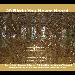 CROWN / BIRDS YOU NEVER HEARD