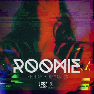 Roomie (feat. Bryan Sg) (Explicit)