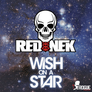 Wish On A Star