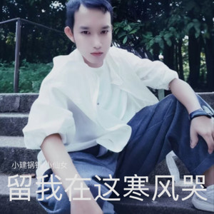 留我在这寒风哭