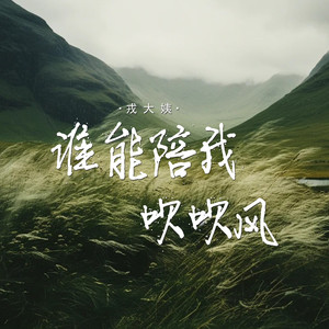 谁能陪我吹吹风