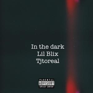 In the dark (feat. Tjtoreal) (Explicit)