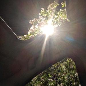 More Than A Bedroom (feat. Lil Hit) (Explicit)