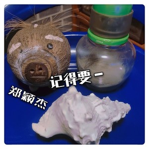 郑颖杰 - 记得要 (伴奏)