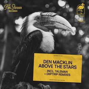 Above the Stars (Diiptrip Remix)