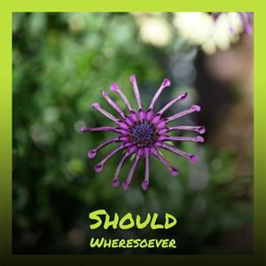 Should Wheresoever