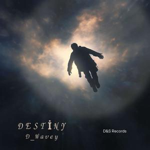 Destiny (feat. D_Wavey) [Explicit]