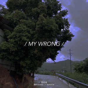 My wrong
