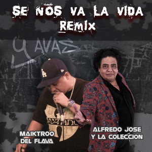 Se Nos Va la Vida (Remix)