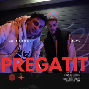 PREGATIT (feat. CerebraL) (Explicit)