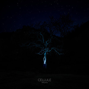 Cellule