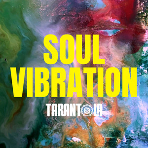 Soul Vibration