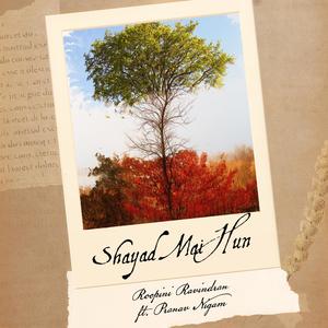 Shayad Mai Hun (feat. Pranav Nigam)