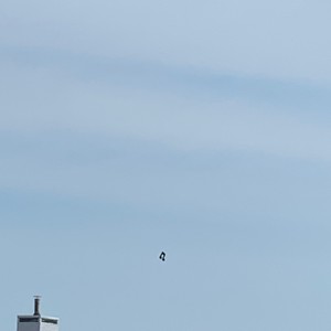 All (feat. CV ALEXX) (Explicit)